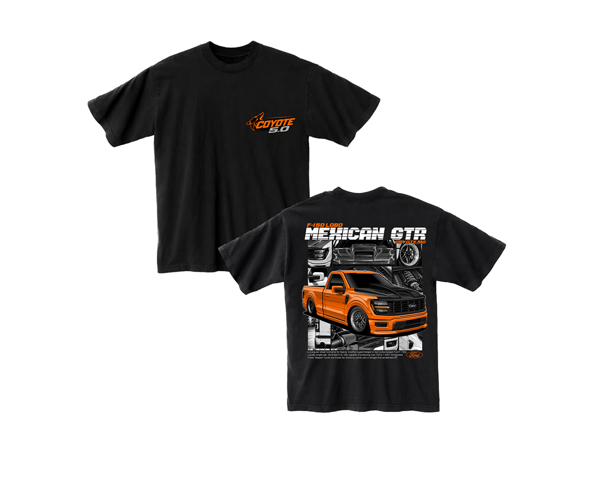 FORD F-150 GTR F/B