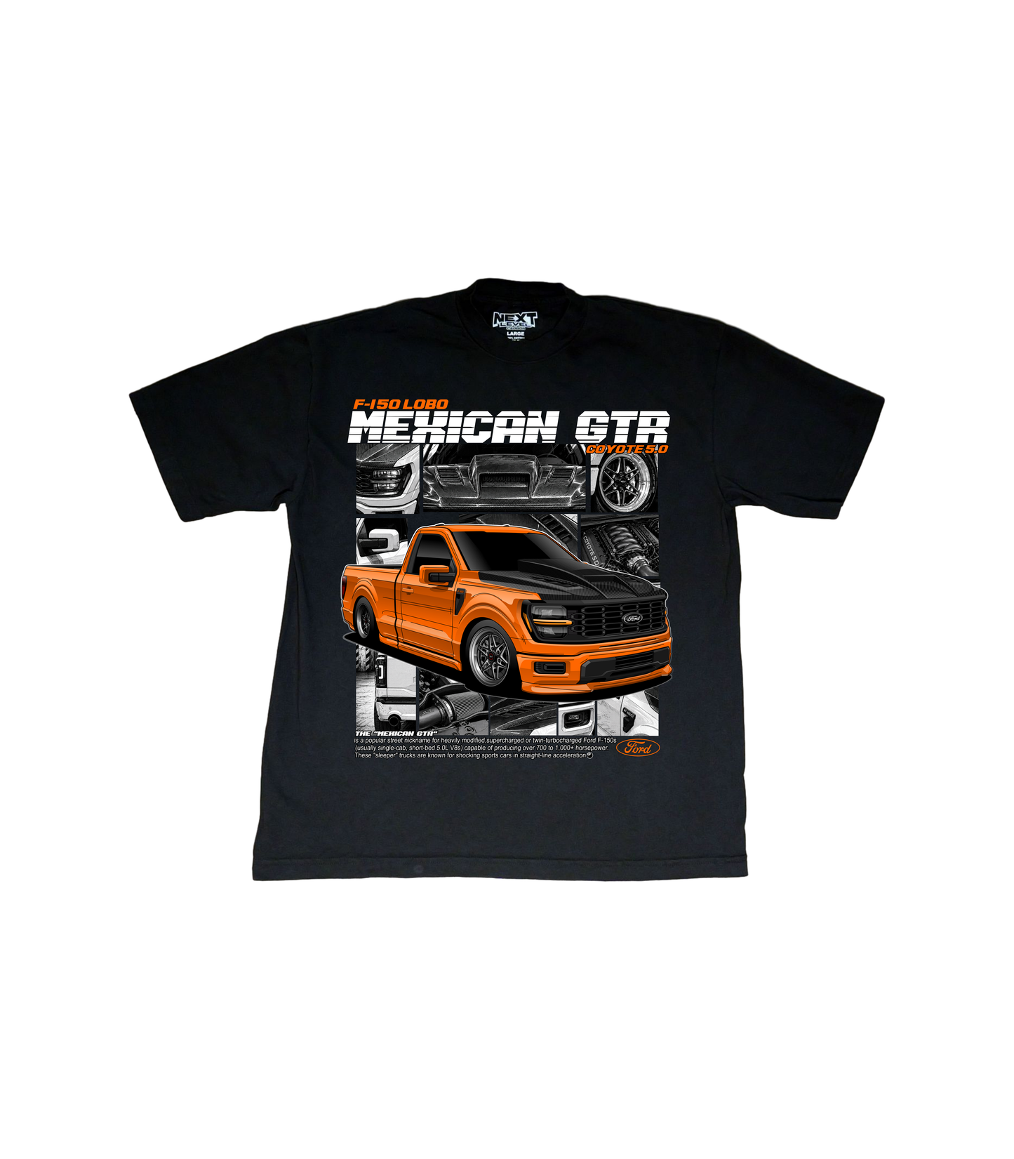 FORD F-150 GTR